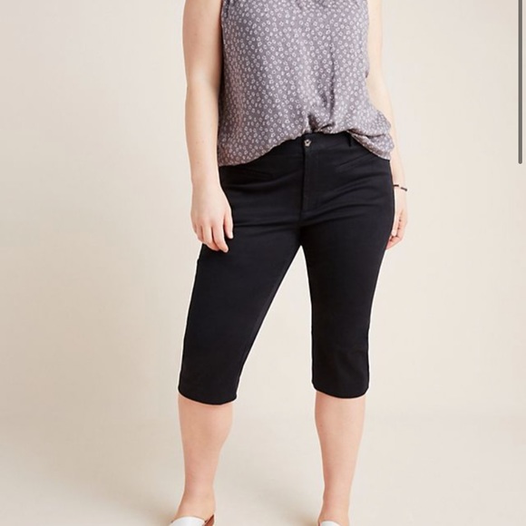 NWT anthro skinny pedal pusher pants - Picture 2 of 6